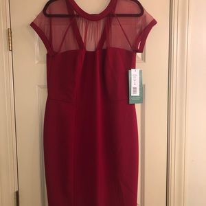 Scarlett Mesh Top Dress